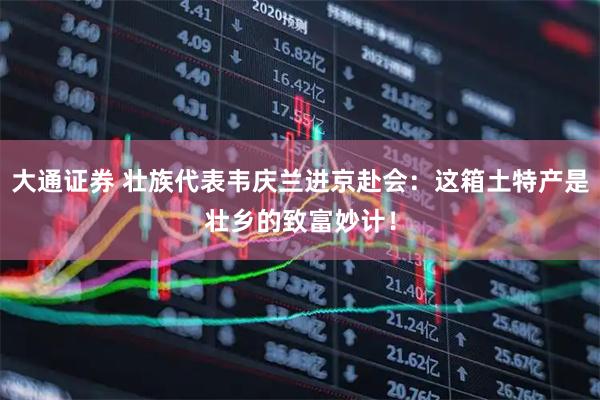 大通证券 壮族代表韦庆兰进京赴会：这箱土特产是壮乡的致富妙计！